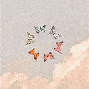 Send me offers on my closet!! 🦋